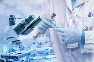 上海化妝品加工廠 如何通過(guò)基礎(chǔ)軟件服務(wù)提升生產(chǎn)效能與合規(guī)管理